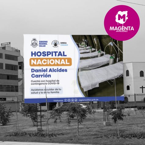 REGION CALLAO HOSPITAL CARRION